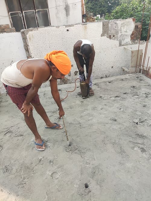 Pest control